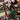 LEGO 10315 Zen Garden: A Masterpiece of Chinese Courtyard Art in Bricks - ICUANUTY