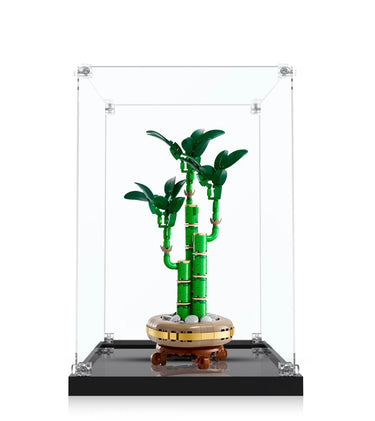 Display case for LEGO® The Botanical Collection Mini Orchid 10344 - ICUANUTY
