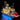 Light Kit for LEGO® Ideas River Steamboat 21356 - ICUANUTY