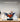 Display Case for Lego Kingfisher Bird 10331 - ICUANUTY