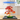 Display case for LEGO® The Botanical Collection Japanese Red Maple Bonsai Tree 10348 - ICUANUTY