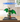 Display case for LEGO® NINJAGO® The Guardian Dragon 71847 - ICUANUTY