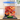 Display case for LEGO® The Botanical Collection Japanese Red Maple Bonsai Tree 10348 - ICUANUTY