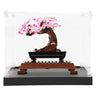 Display Case for Lego Icons Bonsai Tree 10281 - ICUANUTY