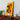 Orange LEGO Porsche GT3 RS model mounted on illuminated wall art panel on wooden shelf with Stormtrooper helmet and model cars
