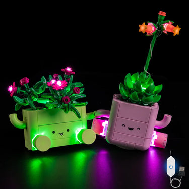Premium Light Kit Compatible with LEGO Botanicals Rocking Plants 11506