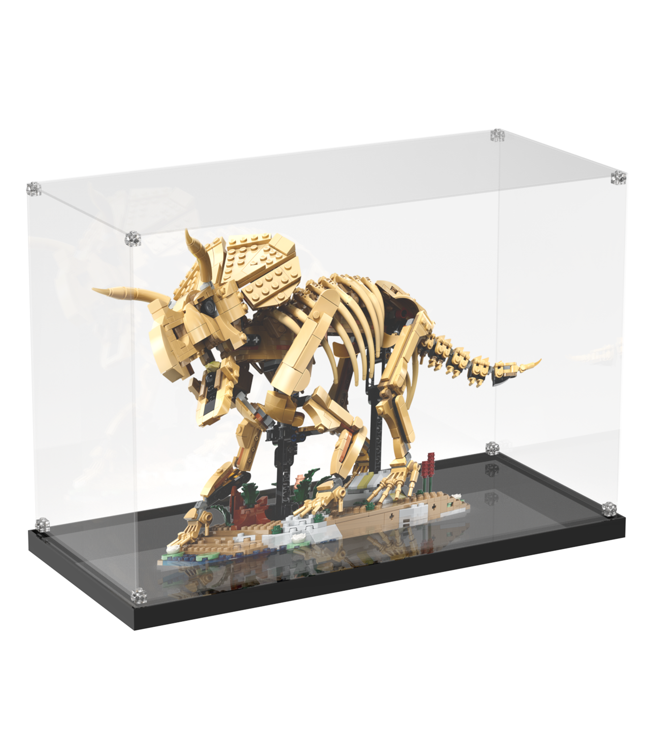 Display Case for LEGO® Dinosaur Fossils: Triceratops (77985)