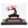 Display Case for Lego Icons Bonsai Tree 10281 - ICUANUTY