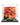 Display case for LEGO® The Botanical Collection Japanese Red Maple Bonsai Tree 10348 - ICUANUTY