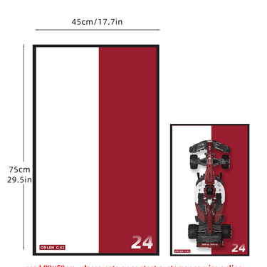 Display Wall Mount for Alfa Romeo F1 Team ORLEN C42 C64005 - ICUANUTY